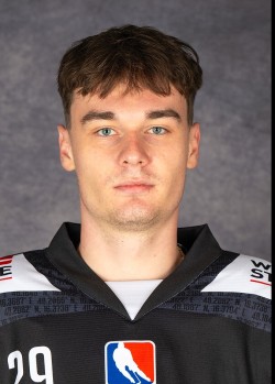 Dusan Sevcik
