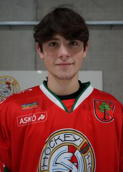Nikolas Lindner
