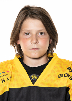 Nikolaus ROCK