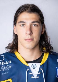 Antons Sinegubovs